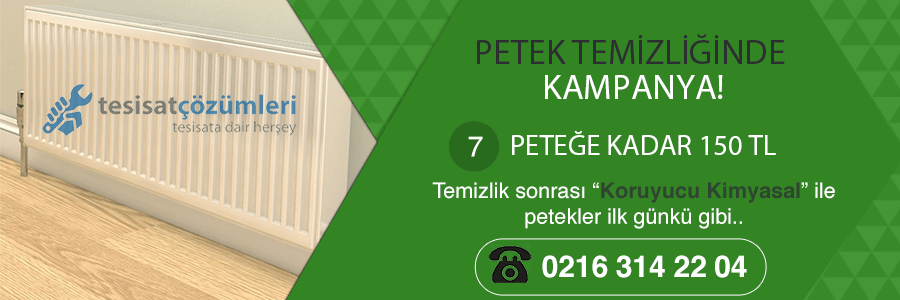 Petek Temizliği